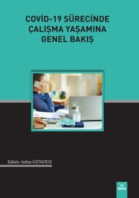 Covid-19 Sürecinde Çalışma Yaşamına Genel Bakış