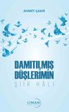 Damıtılmış D&uuml;şlerimin Şiir Hali