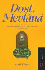 Dost, Mevlana & Üsküdar Mevlevîhanesi Son Postnişini Ahmed Remzi Akyürek'in Prof. Dr. Feridun Nafiz Uzluk'a Gönderdiği Mektuplar