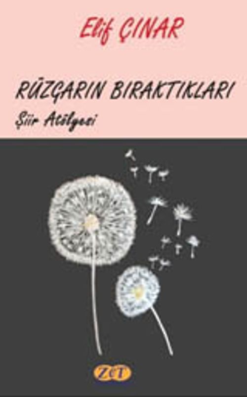 Rüzgarın Bıraktıkları