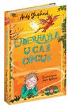 Ejderhayla Uçan Çocuk