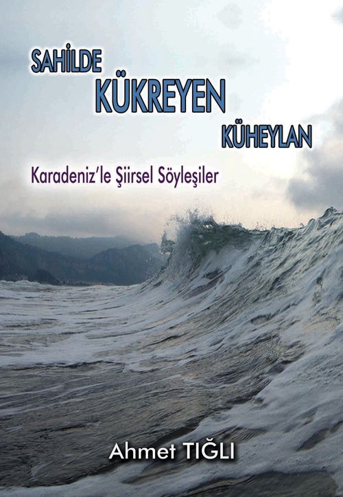 Sahilde Kükreyen Küheylan & Karadeniz'le Şiirsel Söyleşiler