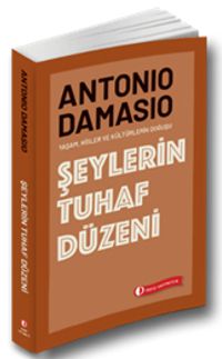 Şeylerin Tuhaf Düzeni