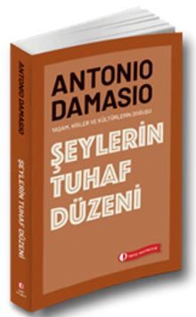 Şeylerin Tuhaf Düzeni