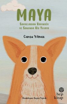 Maya & Sokaklardan Barınağa ve Sonunda Bir Yuvaya