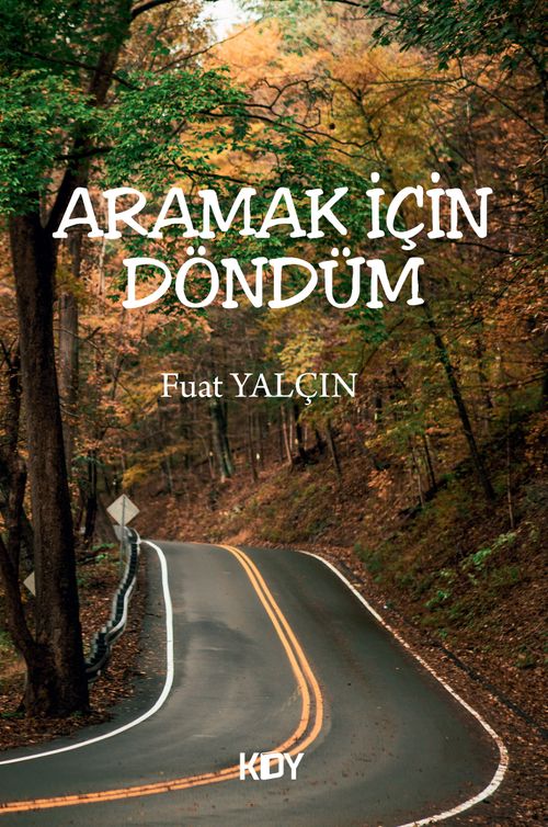 Aramak İçin Döndüm