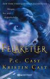Felaketler