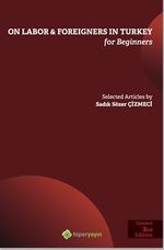 On Labor & Foreigners in Turkey for Beginners