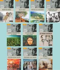 Mehmet Başaran Kitaplığı Seti (10 KitapTakım)