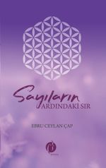Sayıların Ardındaki Sır