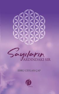 Sayıların Ardındaki Sır