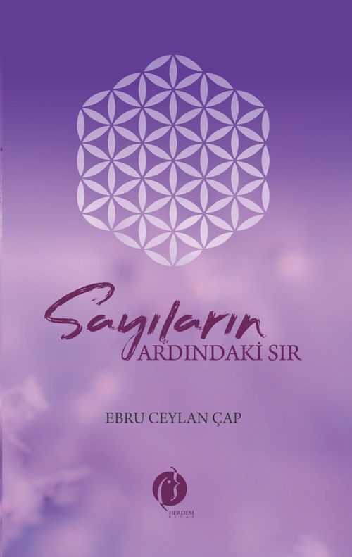 Sayıların Ardındaki Sır