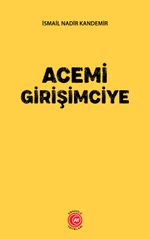 Acemi Girişimciye