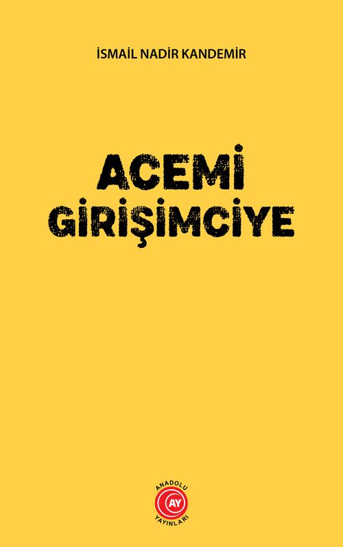 Acemi Girişimciye