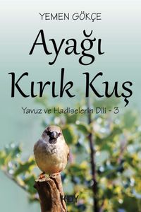 Ayağı Kırık Kuş
