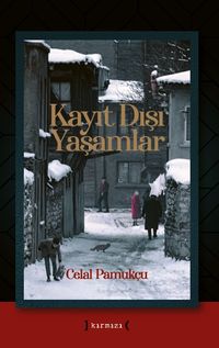 Kayıt Dışı Yaşamlar                                        