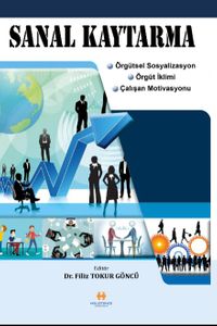 Sanal Kaytarma & Örgütsel Sosyalizasyon, Örgüt İklimi, Çalışan Motivasyonu