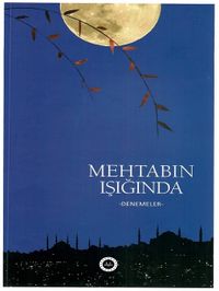 Mehtabın Işığında & Denemeler