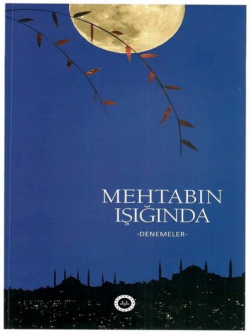 Mehtabın Işığında & Denemeler