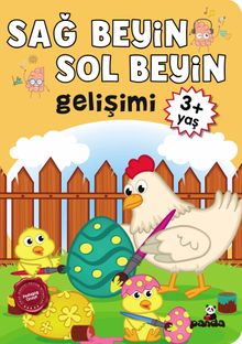 Sağ Beyin-Sol Beyin Gelişimi (3+ Yaş)