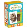 Ca Games Doku Kartlarım (42811)