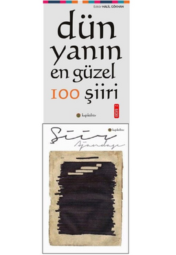 Dünyadan 100 Şiir Ve Şiir Ajandasi Seti (2 Kitap Takım)