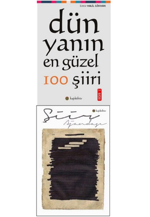 Dünyadan 100 Şiir Ve Şiir Ajandasi Seti (2 Kitap Takım)