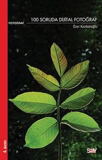100 Soruda Dijital Fotoğraf (cep boy)