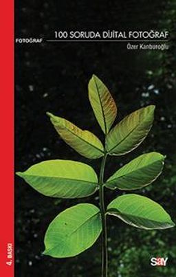 100 Soruda Dijital Fotoğraf (cep boy)