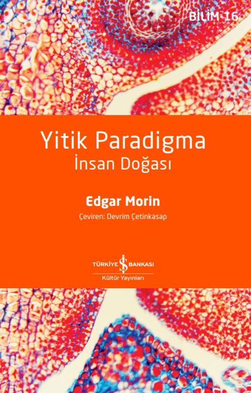 Yitik Paradigma & İnsan Doğası