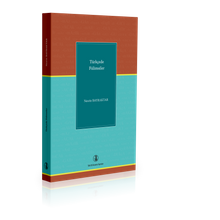 Türkçede Fiilimsiler