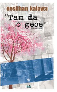 Tam da O Gece