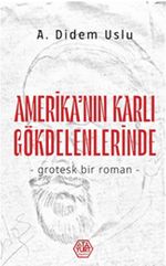 Amerika'nın Karlı Gökdelenlerinde