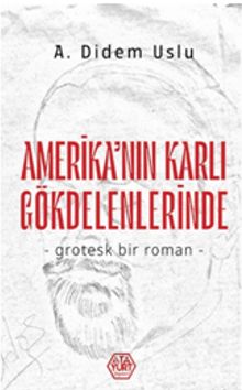 Amerika'nın Karlı Gökdelenlerinde
