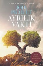 Ayrılık Vakti