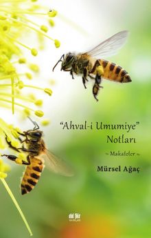 Ahval-i Umumiye Notları
