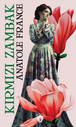 Kırmızı Zambak