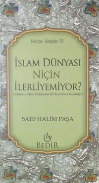 İslam Dünyası Niçin İlerliyemiyor?