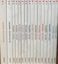 Nesillerin Öyküsü (Emine Şenlikoğlu) (16 Kitap)