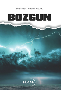 Bozgun