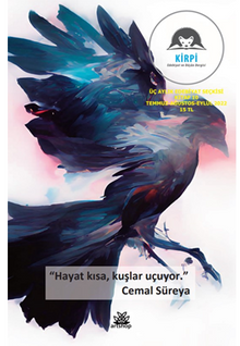 Kirpi 10 Temmuz Ağustos Eylül 2022