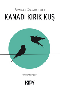 Kanadı Kırık Kuş 