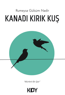 Kanadı Kırık Kuş 