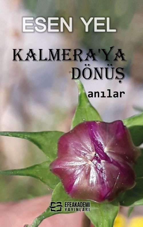 Kalmera'ya Dönüş