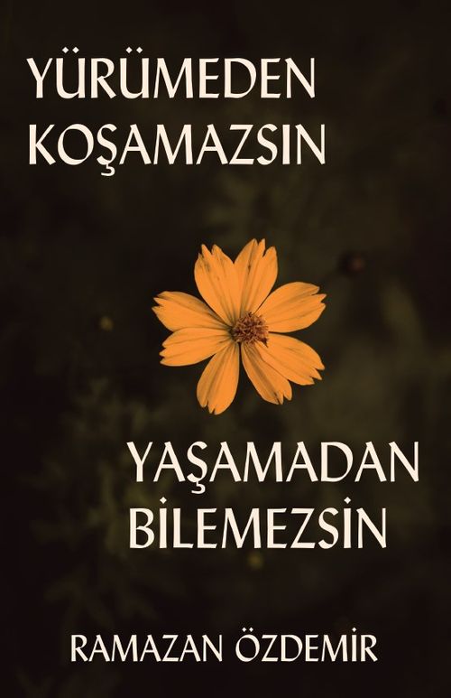 Yürümeden Koşamazsın Yaşamadan Bilemezsin 