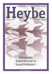 Heybe: Sosyal Hizmet Ve Sosyal Politika Dergisi Sayı:3