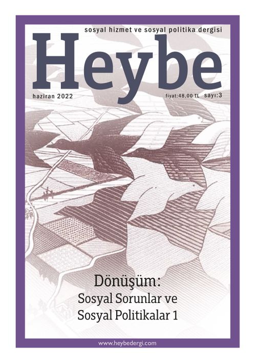 Heybe: Sosyal Hizmet Ve Sosyal Politika Dergisi Sayı:3