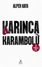 Karınca Karambolü