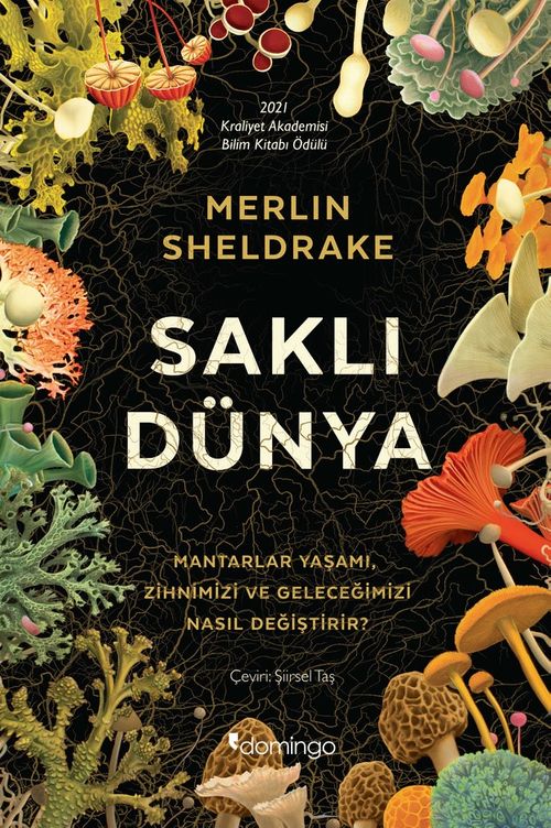 Saklı Dünya