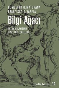 Bilgi Ağacı & İnsan Anlayışının Biyolojik Temelleri